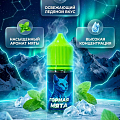 Ароматизатор CAT MINT